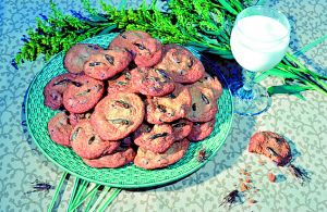 荷蘭超市開賣昆蟲食品