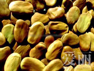 蠶豆種子中含有巢菜堿苷