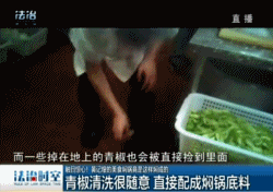 深圳黃記煌食品衛生堪憂:后廚成蒼蠅樂園 大廚捏完蒼蠅再做菜(組圖)