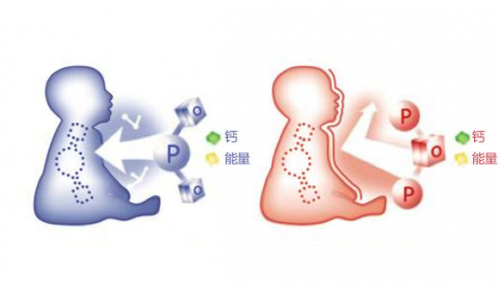 萃取全脂牛奶中親和乳脂營養對嬰兒意味著什么
