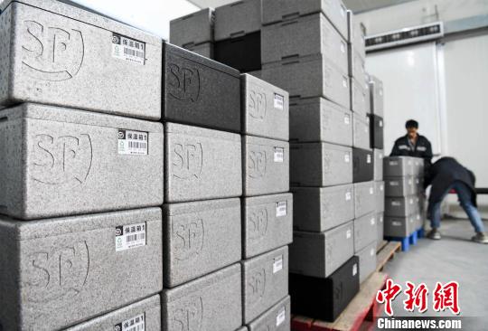 圖為收到第一份澳洲牛肉的居民通過手機掃描二維碼查驗牛肉的屠宰、包裝及坐哪個航班來重慶等信息。 周毅 攝