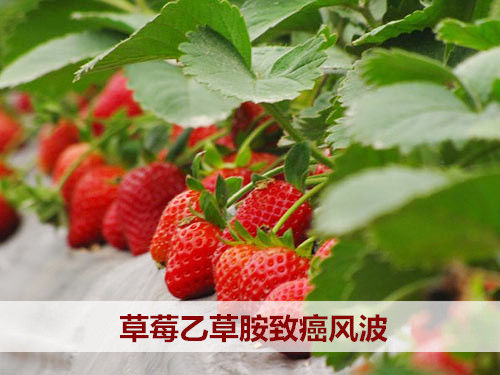 盤點2015年9大食品安全事件